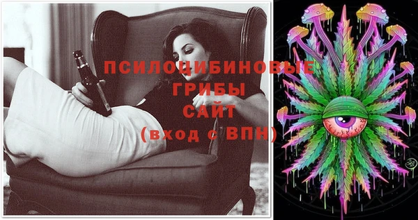 эйфоретик Армянск