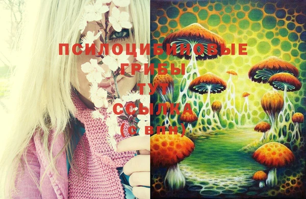 гашиш Аркадак