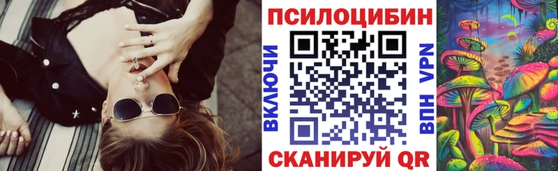 Псилоцибиновые грибы Psilocybe  купить  цена  Змеиногорск 